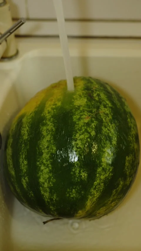 A whole green watermelon being washed under water in sink. Stock Footage 338402002