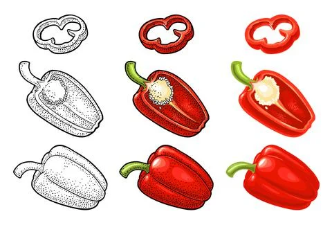Whole, half and slice red sweet bell pepper. Vector color and monochrome vint Illustrazione stock