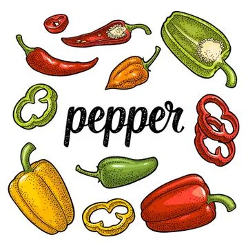 Whole, half , slice different types of pepper. Sweet bell, chilli, habanero and Stock Illustration