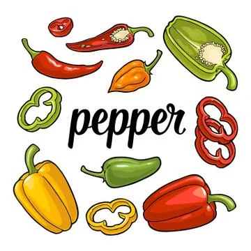 Whole, half , slice different types of pepper. Sweet bell, chilli, habanero and Stock Illustration