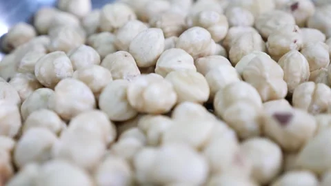 .Whole hazelnut, close-up. Stock Footage 263232361
