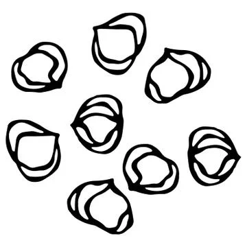 Whole Hazelnut Kernels. Healthy Snack. Fresh Farm Harvest Product. Vegetarian Stock Illustration