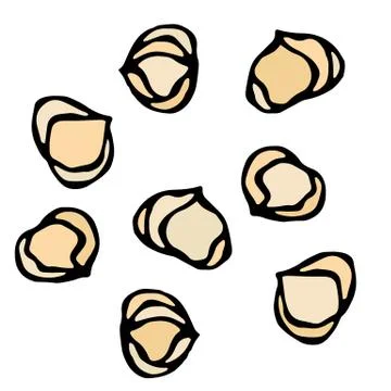 Whole Hazelnut Kernels. Healthy Snack. Fresh Farm Harvest Product. Vegetarian Stock Illustration