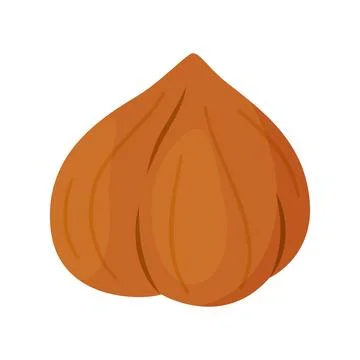 Whole hazelnut in shell, peeled nut cartoon trendy flat style isolated icon Illustrazione stock