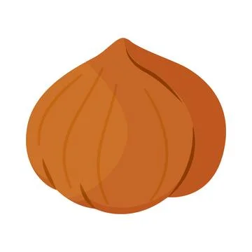 Whole hazelnut in shell, peeled nut cartoon trendy flat style isolated icon Stock Illustration