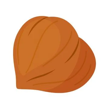 Whole hazelnut in shell, peeled nut cartoon trendy flat style isolated icon Stock Illustration