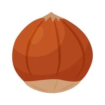 Whole hazelnut in shell, unpeeled nut cartoon trendy flat style isolated icon Stock Illustration