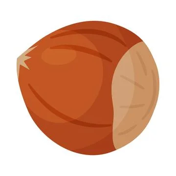 Whole hazelnut in shell, unpeeled nut cartoon trendy flat style isolated icon Stock Illustration