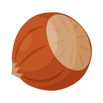 Whole hazelnut in shell, unpeeled nut cartoon trendy flat style isolated icon Stock Illustration
