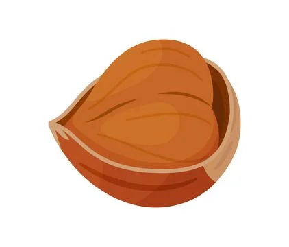 Whole hazelnut in the shell, unpeeled nut cartoon trendy flat style isolated Stock Illustration