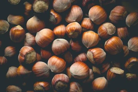 Whole hazelnuts background Stock Photos