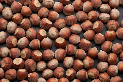 Whole hazelnuts nuts with shell close-up studio shot Stock Photos