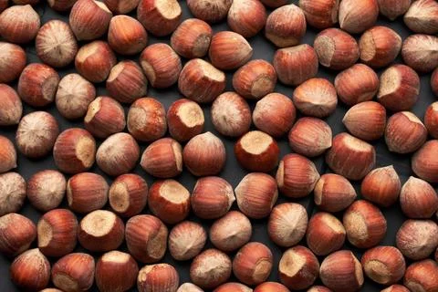 Whole hazelnuts nuts with shell close-up studio shot Stock Photos