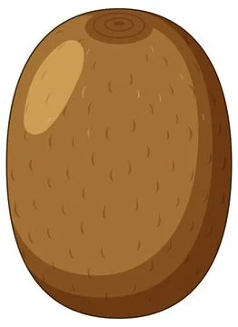 Whole Kiwi Fruit Vector Illustration with Brown Fuzzy Skin Stockillustratie