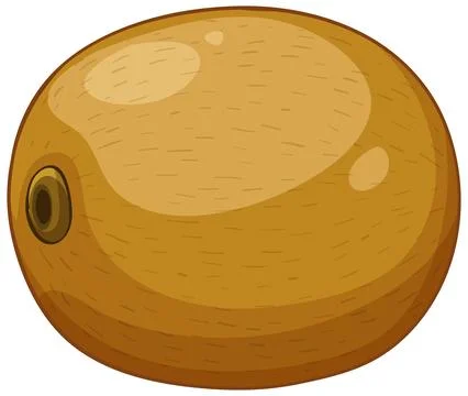 Whole Kiwi Fruit Vector Illustration Isolated on White Background Stock Illustration