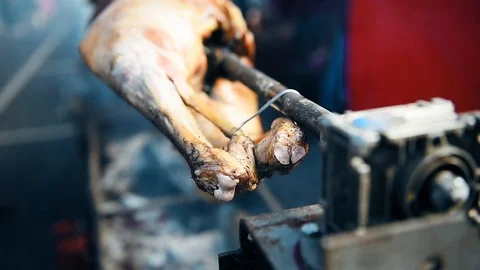 Whole lamb roasting on a spit over charcoal barbecue 库存影片 91868157