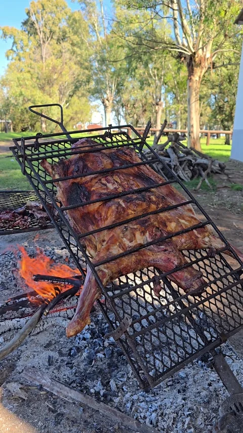 Whole lamb roasting on a spit over open fire outdoors. 4K Vertical Stock Footage 308420969