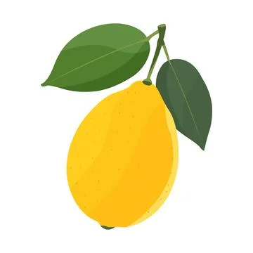 Whole lemon Stock Illustration