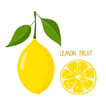 Whole lemon with leaflets and lemon slice isolated on white. Fresh sour Citrus Stock Illustration