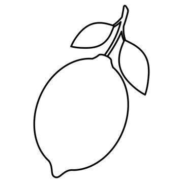 Whole lemon with a stem and two leaves. Sketch. Citrus fruit contains vitam C Stock Illustration