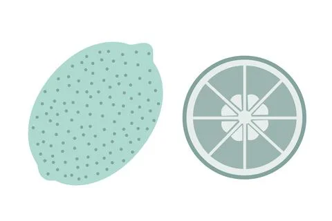 A whole lime and a slice of lime on an isolated white background. Flat vector Stock Illustration