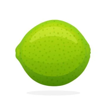 Whole lime Illustrazione stock