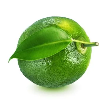 Whole lime with leaf isolated on white background Stock Photos