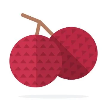 Whole lychee fruit on a branch flat isolated Stock Illustration