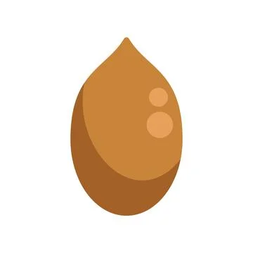 Whole macadamia nut with shell showing three eyes Stock Illustration