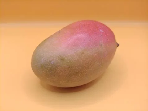 A whole mango on a bright background Stock Photos