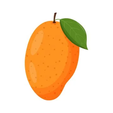 Whole mango with green leaf isolated on white background. Flat vector Stock Illustration