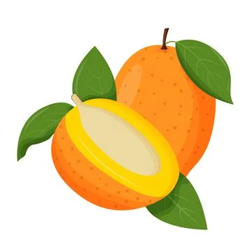 Whole mango with green leaf isolated on white background. Flat vector Stock Illustration