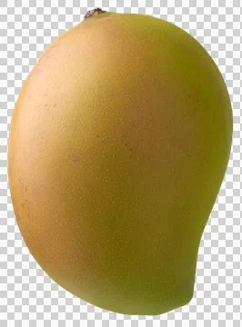 Whole mango isolated background Stock Photos