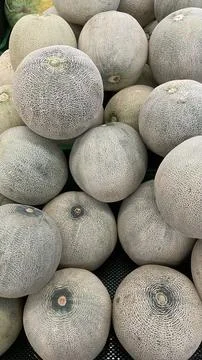 Whole melon, fresh melon texture Stock-Fotos