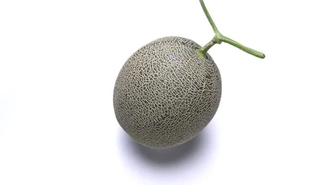 Whole Melon with a Stem Rotating on a White Background Stock-Footage 311031561