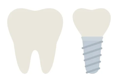 Whole molar and dental implant vector icon flat isolated Stock Illustration