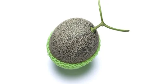 Whole Netted Melon Rotating Against a White Background 스톡 동영상 311031564