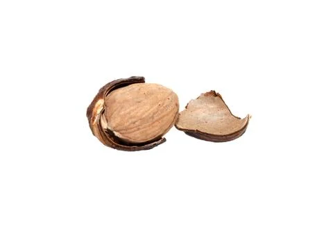 Whole nutmeg broken open Stock Photos