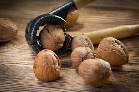 Whole nuts and nutcracker. Stock Photos