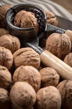 Whole nuts and nutcracker. Stock Photos