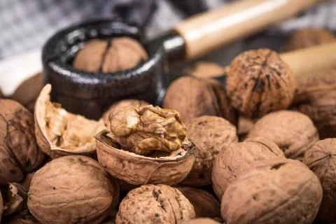 Whole nuts and nutcracker. Stock Photos