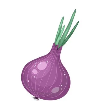 Whole onion. Flat simple design. Vector illustration of organic farm fresh ve Stock Illustration