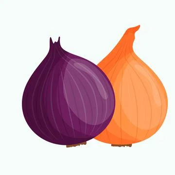 Whole onion isolated on background. Flat vector illustration Stock Illustration