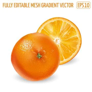 Whole orange with a round slice on a white background. Illustrazione stock