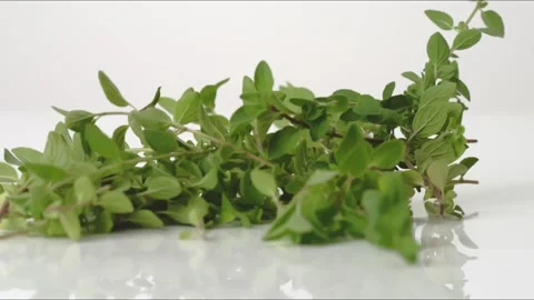 Whole Oregano Bouncing Slow Motion White Tabletop Closeup Macro Food Studio Stock Footage 335006492