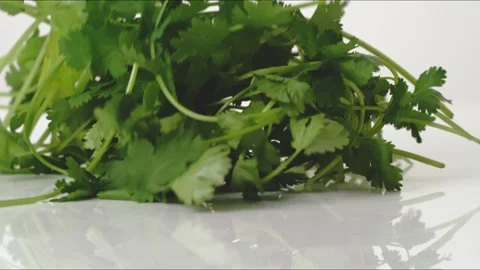 Whole Parsley Bouncing Slow Motion White Tabletop Closeup Macro Food Studio Stock Footage 335004083