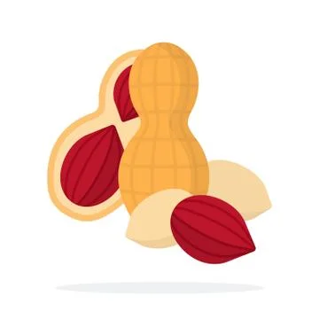 A whole peanut nut, half peanuts and peanuts peeled flat isolated Illustrazione stock