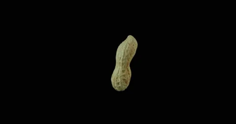 Whole peanut rotating with black background Stock Footage 233575848