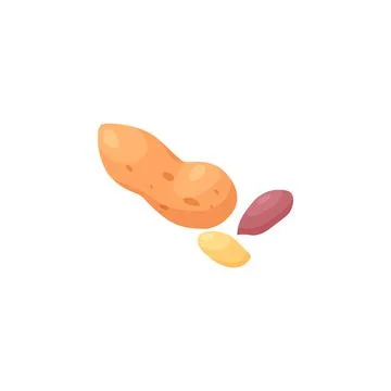 Whole peanut in a shell and seeds from opened nut. Sketch cartoon vector Stock Illustration