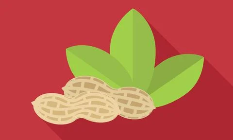 Whole peanut shell icon, flat style 스톡 일러스트